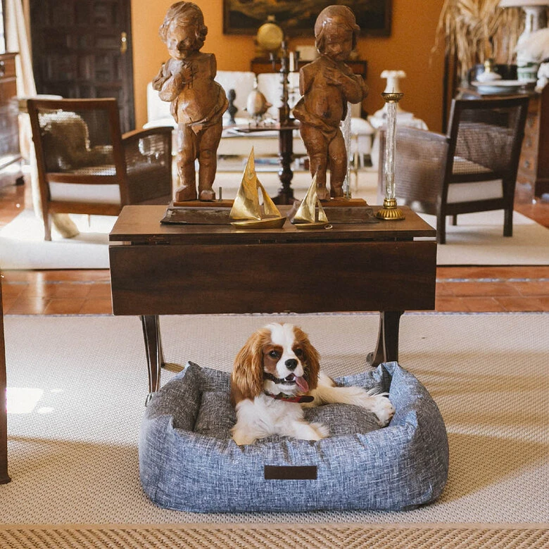 CAMA IMERMEABLE AZUL - GRANDE 27.5 Cm X 65 Cm X 80 Cm - Imagen 2