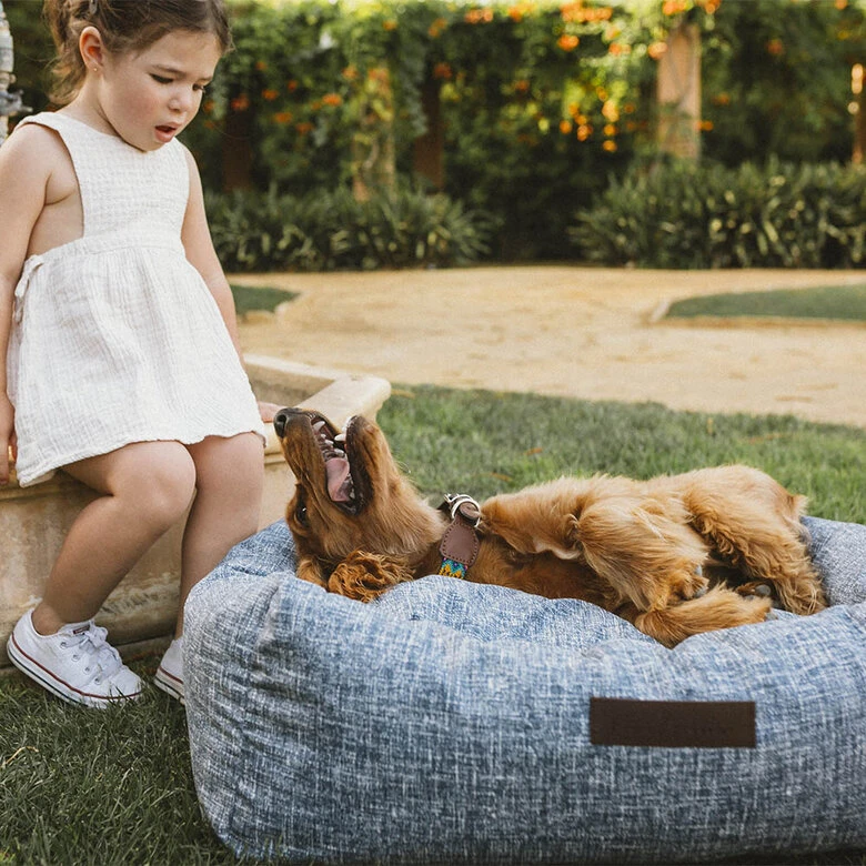 CAMA IMERMEABLE AZUL - GRANDE 27.5 Cm X 65 Cm X 80 Cm - Imagen 3